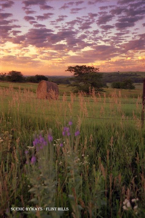 Sunsets are just part of the beautiful scenery in the Flint Hills, which is why a route through the region became a National Scenic Byway in 2005. Description from kansastransportation.blogspot.com. I searched for this on bing.com/images Flint Hills Kansas Pictures, Flint Hills Kansas, Kansas Prairie, Kansas Landscape, Prairie Art, Flint Hills, Stormy Sky, Pretty Landscapes, Scenic Byway