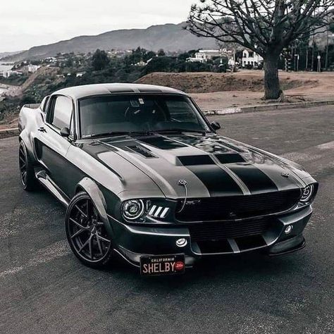 Anasayfa / Twitter | Mustang shelby, Muscle cars mustang, Shelby mustang gt500 Mobil Mustang, Shelby Mustang Gt500, Shelby Gt 500, Muscle Cars Mustang, مرسيدس بنز, Мотоциклы Cafe Racers, Mustang Gt500, Mobil Drift, Shelby Mustang