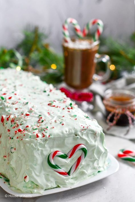 Holiday Dessert Ideas, Candy Cane Fudge, Nut Free Candy, Holiday Cookie Exchange Party, Yule Log Recipe, Holiday Ice Cream, Fudge Ice Cream, Peppermint Ice Cream, Yule Log Cake