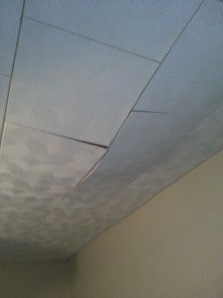 enter image description here Fix Drop Ceiling, Ceiling Upgrade Ideas, How To Replace Ceiling Tiles, Ceiling Tile Replacement Ideas, Easy Basement Ceiling Ideas, Replace Ceiling Tiles, Acoustic Tile Ceiling Makeover, How To Paint Ceiling Tiles, Replacing Ceiling Tiles