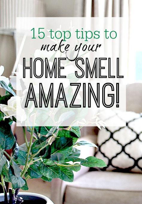 How to make your home smell amazing so you aren't afraid to walk through your own front door or have guests over. Treat yourself! Smell Clean, Make Your Home Smell Amazing, Home Smell, Smell Amazing, House Smell, Home Scents, House Smells, Moving House, House Cleaning Tips