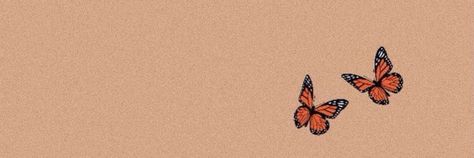 Brown Cover Photos Facebook, Wallpaper Backgrounds Facebook Cover, Linkedin Header Aesthetic, Brown Aesthetic Cover Photo Facebook, Brown Aesthetic Landscape Background, Brown Cover Photo Aesthetic, Brown Notion Cover, Brown Landscape Aesthetic, Butterfly Header Aesthetic