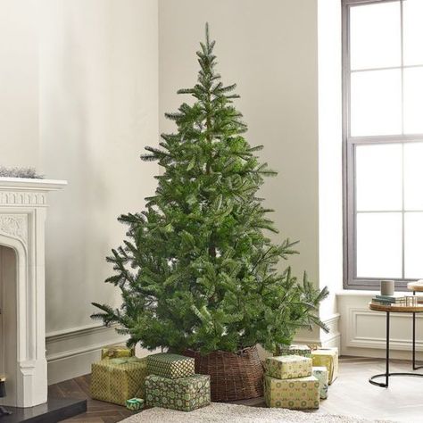 Best Artificial Christmas Trees, Realistic Christmas Trees, 6ft Christmas Tree, Christmas Tree Storage Bag, Realistic Artificial Christmas Trees, Fake Christmas Trees, Spruce Christmas Tree, Christmas Tree Storage, Fir Christmas Tree