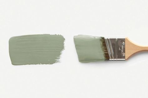 Take a peek at the hottest paint colors for 2022. From nature-inspired greens to timeless shades of beige, this year's trending paint colors are guaranteed to make your home happier. These are the interior paint colors for 2022 that we’re seeing everywhere! Green paint | beige paint | yellow paint #paint #paintcolors Trending Paint Colors for 2022 | Clare Paint | Money Moves Trending Interior Paint Colors, Clare Paint, Timeless Paint Colors, Most Popular Paint Colors, Beige Paint, Trending Paint Colors, Popular Paint Colors, Money Moves, Mood Colors