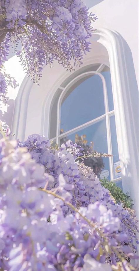 Fesyen Islam, Lavender Aesthetic, Pretty Landscapes, Spring Wallpaper, Spring Aesthetic, Pretty Wallpaper Iphone, Simple Wallpapers, Alam Yang Indah, Pretty Wallpapers Backgrounds