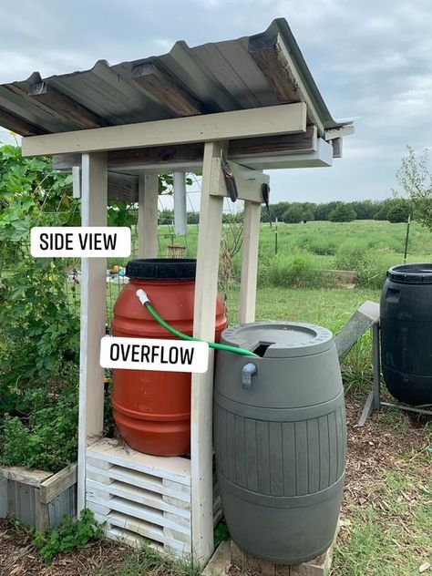 Barrels Diy, Water Collection System, Butterfly Roof, Water Barrel, Rain Barrels, Water Collection, Rain Barrel, Rain Water Collection, Home Vegetable Garden