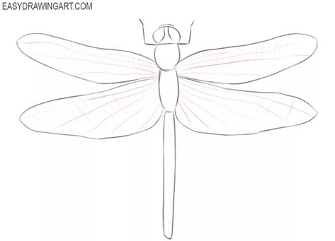 dragonfly drawing simple Dragonfly Outline Drawings, Dragonfly Sketch Simple, Dragonfly Drawing Simple, Simple Dragonfly Drawing, Dragonfly Outline, Dragonfly Sketch, Draw A Dragonfly, Very Simple Drawing, Simple Dragonfly