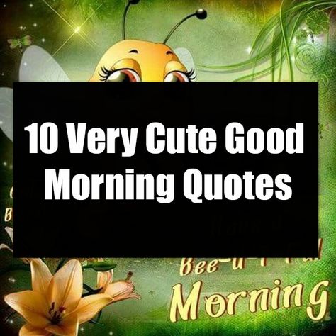 Good Morning Cards Image, Food Morning Quotes, Good Morning Inspirational Quotes Funny, Good Morning Disney Images, Cute Monday Quotes, Good Morning Hugs Quotes, Good Morning Images Funny Gif, Good Morning Quotes For Daughter, Funny Good Morning Images Laughing