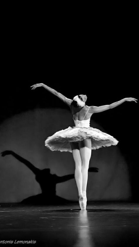 Poema Visual, Ballet Wallpaper, Ballet Pictures, Ballet Beauty, Ballet Poses, Ballet Inspiration, Ballet Art, Ballet Photos, Dance Ballet