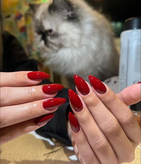 Plain Red Almond Nails, Long Nails Colors, Red Gel X Nails Almond, Red Nails Bright, Red Nails Plain, Red Nails Inspo Almond, Bright Summer Almond Nails, Red Pointed Nails, Claret Nails