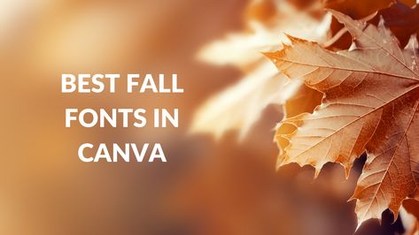 Best Fall Fonts in Canva - Canva Templates Fall Fonts Canva, Autumn Fonts Canva, Fall Canva Fonts, Thanksgiving Fonts, Fonts In Canva, Fall Fonts, Market Font, Classic Serif Fonts, Canva Font