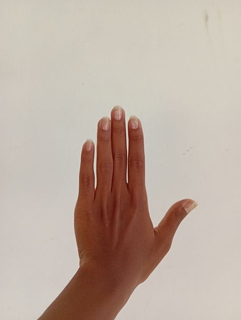 Long nails, short nails, long natural nails, natural nails, short natural nails, clear nails, nails. Minimalist Natural Nails Short, Clear Nails Short, Short Nail Bed Nails, Nails Long Natural, Small Nail Beds, Natural Nails Long, Nails Short Natural, Short Nail Bed, Short Natural Nails