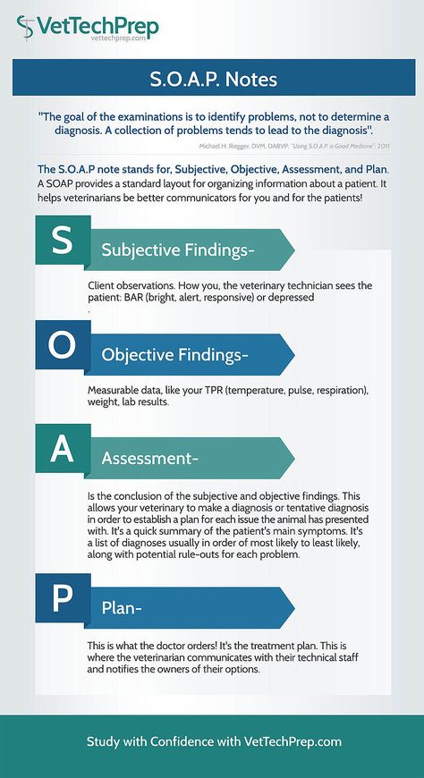 Infographic: S.O.A.P. Notes Vtne Prep Veterinary Technician, Vet Assistant Tips, Vet Tech Cheat Sheet, Veterinarian Assistant, Veterinarians Medicine, Veterinarian Technician, Soap Notes, Vet Tech School, Veterinary Tech