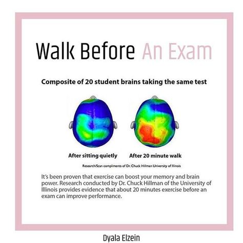 #study tip, walking before an exam help, brain scan after walking before an exam After Exam, Before An Exam, The State, Exam Tips, Brain Scan, Exams Tips, Brain Power, Best Workout, Workout Ideas