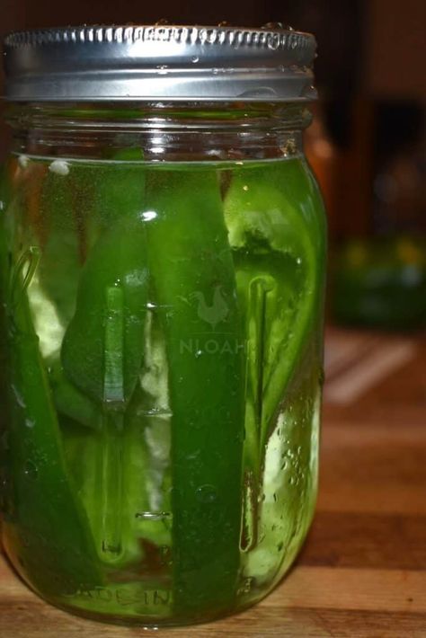 Can Bell Peppers, How To Can Sweet Peppers, How To Can Green Bell Peppers, Canned Green Peppers, Pickled Green Peppers Recipe, Can Green Peppers, Canning Green Peppers, Jarred Peppers, Canned Peppers