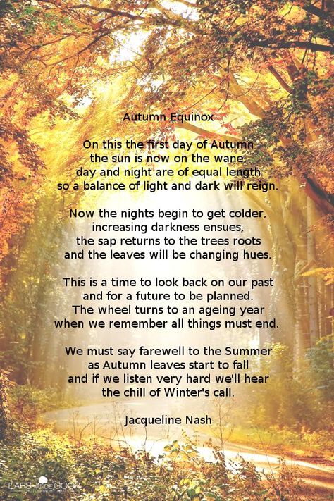 Autumn Equinox Quotes, Autumnal Equinox Celebration, Equinox Celebration, Celtic Wheel, Autumn Poetry, Halloween Window Silhouettes, Nature Poetry, Solstice And Equinox, Nature Poem