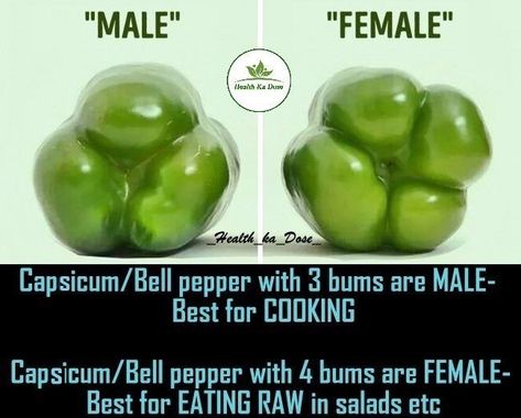 Pin by Jane on Cooking | Healthy food facts, Food info, Food facts Amazing Food Hacks, Healthy Food Facts, Green Peppers, Food Info, Cooking Basics, Food Facts, Eating Raw, Bell Pepper, Health Facts