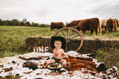 Steak smash Baby Steak Smash Photoshoot, One Year Old Steak Smash, First Birthday Steak Smash, Steak First Birthday Pictures, Steak Smash Photoshoot, Steak Smash First Birthday, Western Cake Smash, Steak Smash, Bday Pics