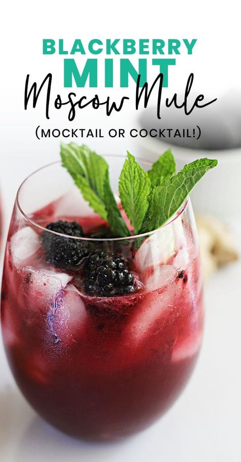 Blackberry Mint Mocktail, Blackberry Mocktail Recipes, Moscow Mule Mocktail Recipe, Mule Mocktails, Mocktail Mule, Mule Mocktail Recipe, Blackberry Mocktail, Blackberry Moscow Mule, Catering Dinner