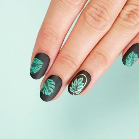 Monstera Nail, Plant Nails, Leaf Nails, Nails Diy, Diy Life Hacks, Monstera Leaf, Nail Lacquer, Nails Nails, Nailed It