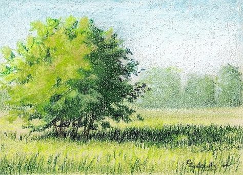 How to Draw Landscapes with Colored Pencil - Spring II Color Pencil Illustration, Albert Bierstadt, Art Exhibition Posters, Popular Art, Landscape Drawings, Cool Landscapes, Color Pencil Drawing, Color Pencil Art, Drawing Skills