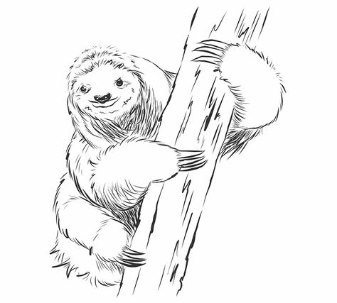 How to draw a sloth step seven Sloth Drawing Simple, How To Draw A Sloth, Llama Drawing, Cartoon Llama, Sloth Drawing, Doodle People, Sketches Ideas, Sloth Art, A Sloth