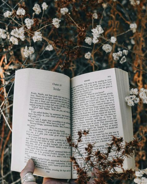 Bookstagram Inspiration Feed, Dusty Books, Forest Faerie, Earth Aesthetic, Cozy Nooks, To Be Human, Bookstagram Inspiration, Be Human, Lion Wallpaper