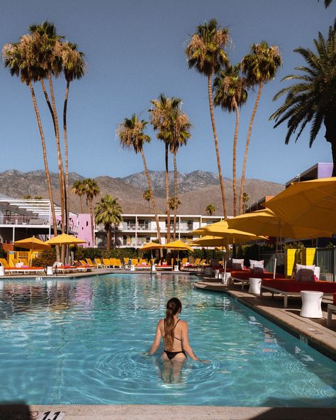 The iconic Saguaro Hotel 🌵🌈🌴✨ #palmsprings #aesthetic #california #travelusa Saguaro Hotel, Aesthetic California, Palm Springs, Travel Usa, California, Hotel, Quick Saves