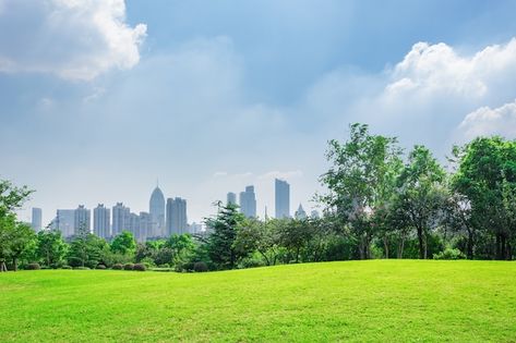 Background Park, California Vineyards, City Farm, Frutiger Aero, City Background, Farm Buildings, Desktop Wallpapers Backgrounds, Sky Background, Green City