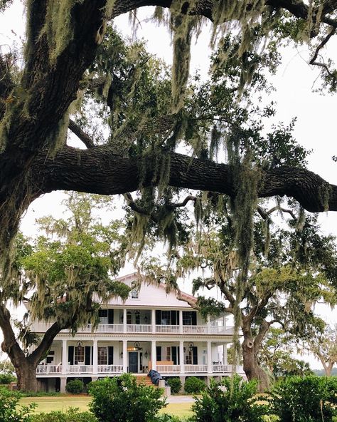 Low Country Aesthetic, Low Country Homes Interior, Louisiana Farmhouse, Low Country Style, Low Country Home, Low Country House, Louisiana House, Country Patio, Character Homes