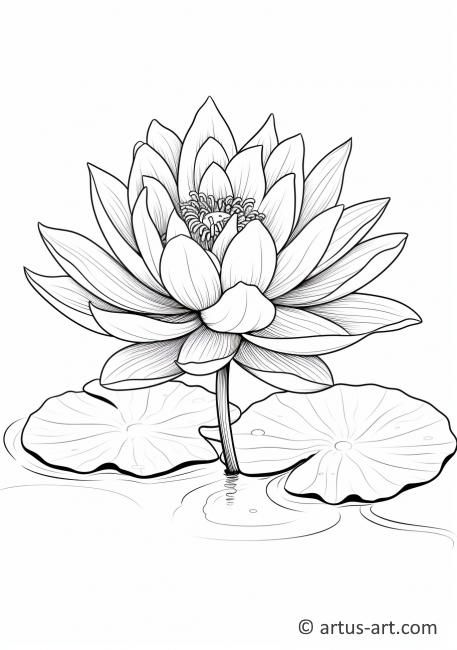 Lily Pad Drawing, Water Lily Drawing, Lotus Outline, Lotus Flower Drawing, Water Lily Tattoos, Insect Coloring Pages, Lilies Drawing, Farm Coloring Pages, Flower Pattern Drawing