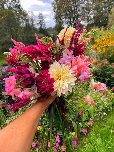 Garden blogger and author Stacy Ling from Bricks 'n Blooms, shares a behind the scenes look at her blog plus some faves from around the web.