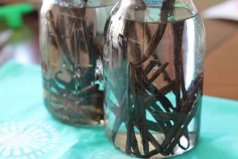 Homemade Vanilla Extract Diy Vanilla Extract, Expensive Vodka, Home Made Vanilla, Make Your Own Vanilla, Diy Vanilla, Make Vanilla Extract, Vanilla Extract Recipe, Food Project, Homemade Vanilla Extract