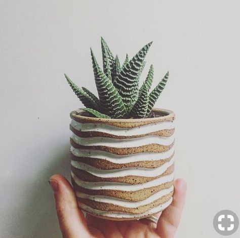 succulent Pinch Pots With Texture, Design Plant Pot, Plant Pots Pottery, Textured Pottery Ideas, Diy Ceramic Planters, Pinch Pot Pottery, Ceramic Planters Ideas, Plant Pot Design Ideas, Carved Pottery Ideas