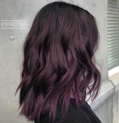 Medium Black Hair with Purple Tint Red Purple Hair, Dark Burgundy Hair, Medium Black Hair, Shades Of Burgundy Hair, Purple Balayage, Maroon Hair, Dark Purple Hair, Purple And Brown, Medium Brown Hair