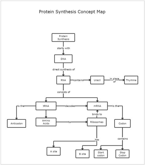 This Protein Synthesis Concept Map Template depicts the process of protein synthesis. A Protein Synthesis Concept Map Template defines transcription and translation, representing the transfer of genetic instructions from DNA to mRNA in the nucleus. Synthesis is known as combining two or more compounds to create something new. Concept maps can help students visualize the steps involved in any synthesis process they need to describe. Begin with this protein synthesis concept map template and modif Transcription And Translation Notes, Protein Synthesis Notes, Protein Synthesis Activity, Cell Biology Notes, Concept Map Template, Biology Poster, Concept Maps, Flow Map, Mind Map Template