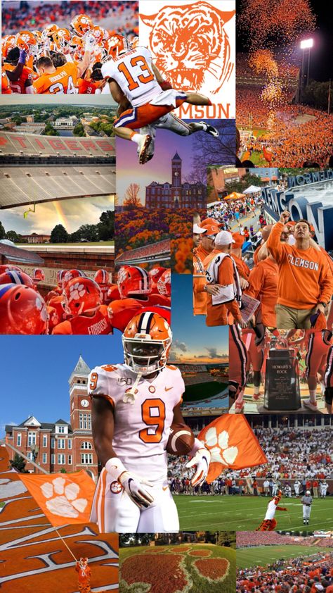 Clemson Football Wallpaper, Clemson University Aesthetic, Universities Aesthetic, Clemson Aesthetic, Clemson Wallpaper, Clemson Tigers Wallpaper, Clemson Art, Clemson College, Clemson Tigers Football