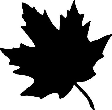 Maple Leaf Cutout, Leaf Sillouhette, Maple Leaf Silhouette, Leaf Silhouette Art, Maple Leaf Stencil, Maple Leaf Template, Silhouette Cameo Projects Beginner, New Instagram Logo, Photo Editing Websites