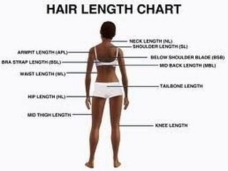 Hair length chart Visit gohairlosstreatment.com #hairloss #hairlosssolution #hairlosstreatment #hairlosshelp #hairlossprevention #hairlossproblem #hairlossremedy #hairlosscoverup #hairlosscontrol #hairlossawareness #hairlossjourney #hairlosswomen #hairlossadvice #hairlosscure Hair Length Guide, Quotes Rainbow, Hair Chart, Natural Hair Rules, Waist Length Hair, Hair Length Chart, Hair Growth Cycle, Simple Prom Hair, Haircut Types