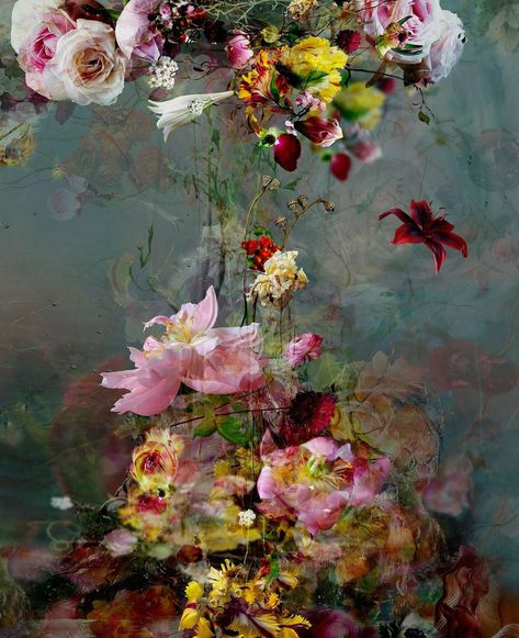 Isabelle Menin - Sinking #2 | 1stdibs.com Isabelle Menin, Cat Air, Flower Paintings, Floral Photography, Art Japonais, Colorful Landscape, Photographic Paper, Pics Art, Life Photography