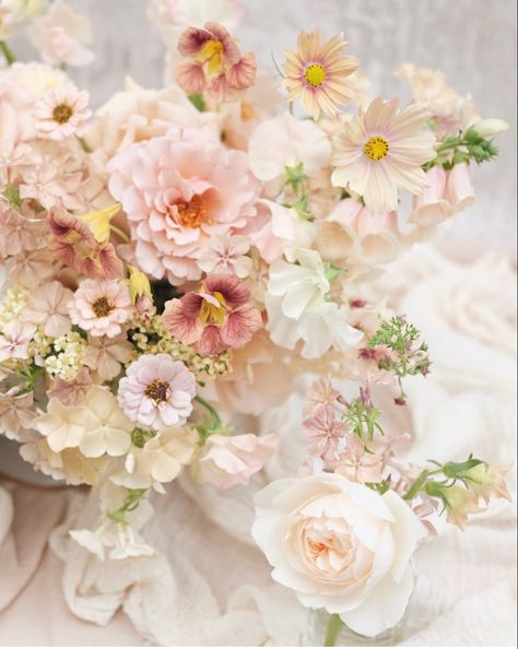 Bright Wedding Bouquet, Fleur Aesthetic, Peach Wedding Bouquet, Phlox Flowers, Brandon Scott, August Garden, Flowers Tea, Garden Bouquet, Wedding Reception Flowers