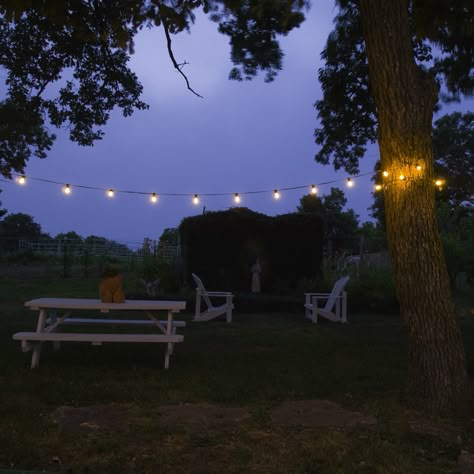 Nights in the country with a cool breeze... perfect! #country, #night time, #outdoor entertaining Country Summer Nights, Southern Nights Aesthetic, Cottage Yard, Romantic Scenery, Country Night, Calm Life, Southern Nights, Season Change, Summer Vision