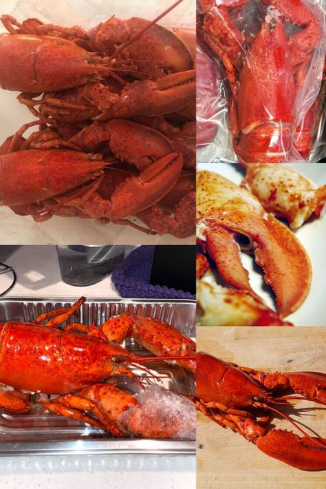 Can You Freeze Cooked Lobster Cooked Lobster, Frozen Lobster, How To Cook Lobster, Lobster Meat, Lobster Roll, Join Us, Seafood, Frozen, It Works