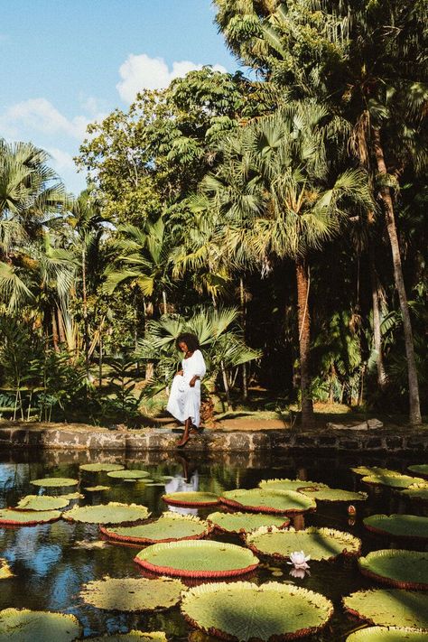 Estilo Tropical, African Travel, Les Cascades, African Countries, Africa Travel, Best Places To Travel, Zambia, North Africa, Mauritius