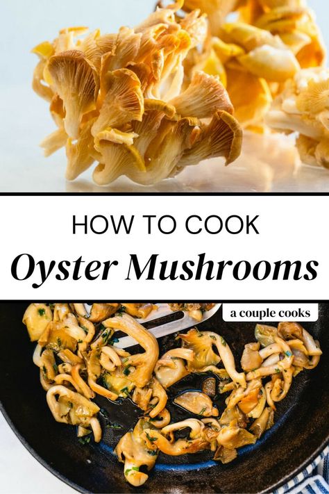 Recipes Plant Based, Oyster Mushroom Recipe, Cooked Oysters, Vegan Pulled Pork, Plant Diet, A Couple Cooks, Vegan Recipes Plant Based, Maitake Mushroom, Oyster Mushrooms