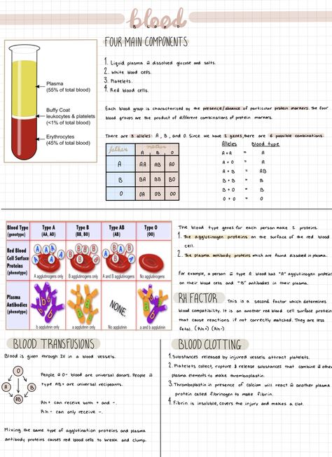 Learn Biology, Nursing School Essential, Basic Anatomy And Physiology, Nurse Study Notes, Nursing Student Tips, Medical Student Study, Lose Thigh Fat, Medical Laboratory Science, Nursing School Survival