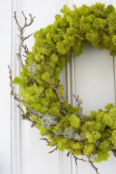 DIY Moss Wreath | Apartment Therapy Rustic Christmas Diy, Mos Wand, Moss Wreath Diy, Diy Moss, Living Wreath, Moss Wreath, Easter Spring Wreath, Plant Crafts, Diy Spring Wreath