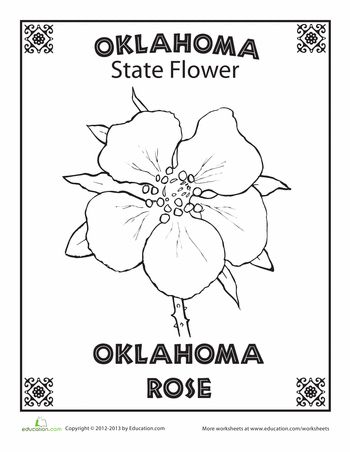 Worksheets: Oklahoma State Flower Oklahoma State Symbols, Oklahoma Rose Tattoo, Mushrooms Coloring Pages, State Report Projects, Flower Worksheet, Oklahoma City Things To Do, Oklahoma Rose, Oklahoma Tattoo, Classroom History