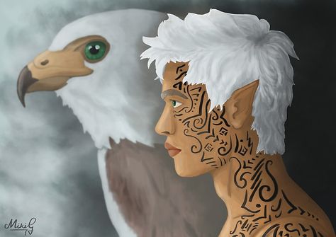 His form is a hawk not an eagle. Or an owl. Sheesh people. "Rowan Whitethorn" Rowan Whitethorn, Rowan And Aelin, Throne Of Glass Fanart, Aelin Ashryver Galathynius, Aelin Galathynius, Throne Of Glass Books, Crown Of Midnight, Empire Of Storms, Throne Of Glass Series