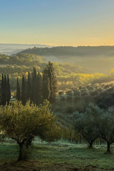 Experience the breathtaking beauty of Tuscany's landscapes with our exclusive villa rentals. From rolling vineyards to historic olive groves, our handpicked villas offer unrivalled views of the Tuscan countryside.

#to_tuscany #tuscany #villa #views #italiancountryside #olivegroves #vineyards #traveldestination Italian Villa Landscape, Olives Aesthetic, Italian Countryside House, Italy Moodboard, Tuscany Garden, Tuscany Aesthetic, Romantic Villa, Italian Farm, Olive Farm